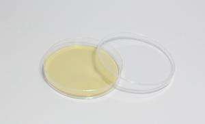 預(yù)灌裝培養(yǎng)基平皿 預(yù)灌裝培養(yǎng)基平皿